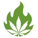 cannabis potency